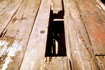 Walk the Plank